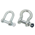 China customized carbon steel/stainless steel d-ring shackle